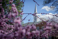 Spring 2016 at Mount Olivet