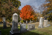 Cementary October 2023