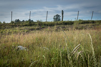 Farm Photos for Display Book