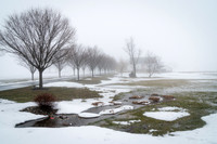 Fog in Bucks County PA