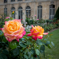 Paris II